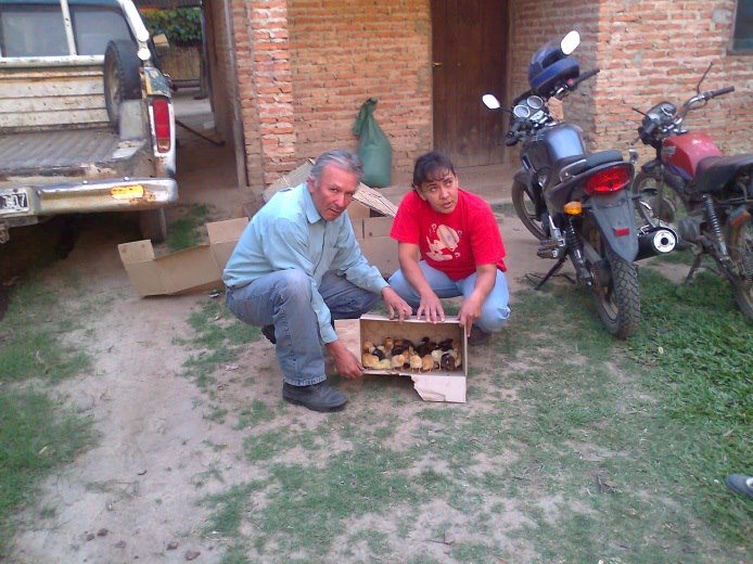 alumnos_práctica